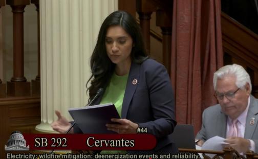 Senator Cervantese on the Senate Floor
