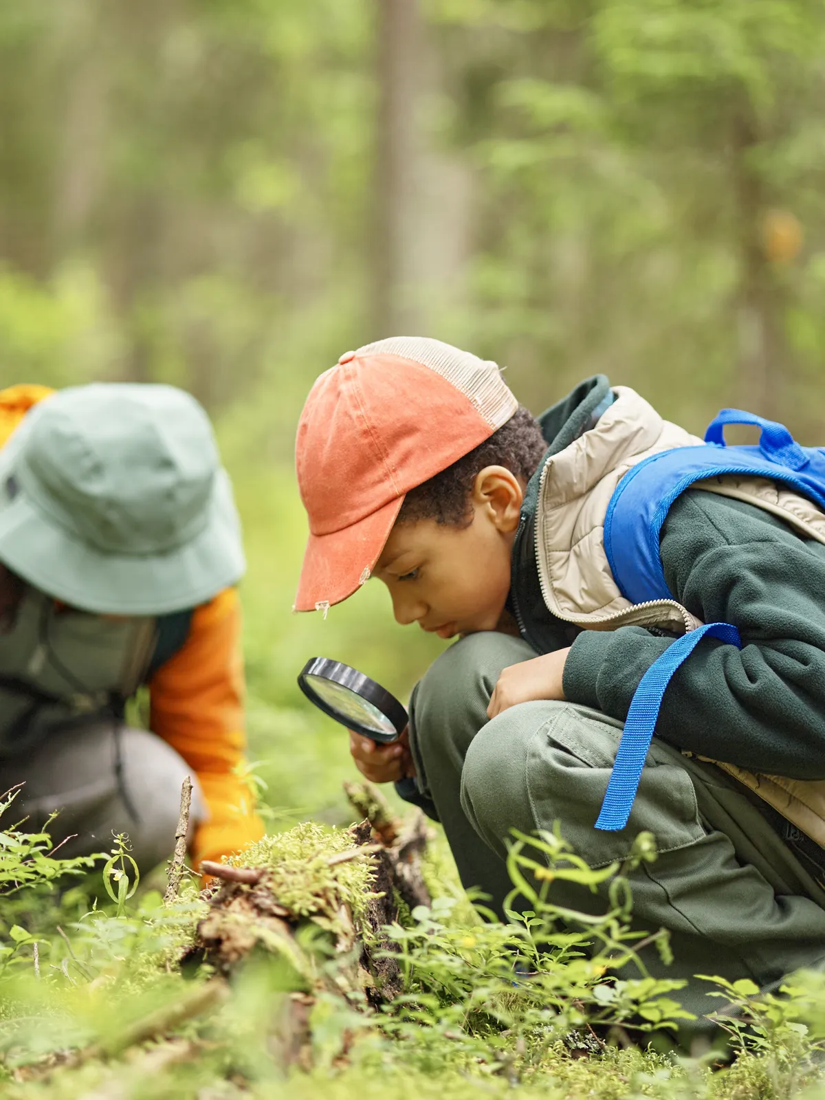 Children exploring forest floor