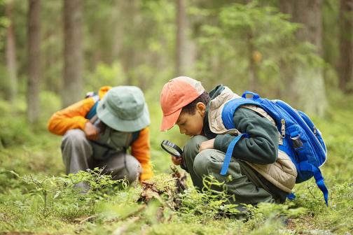 Children exploring forest floor