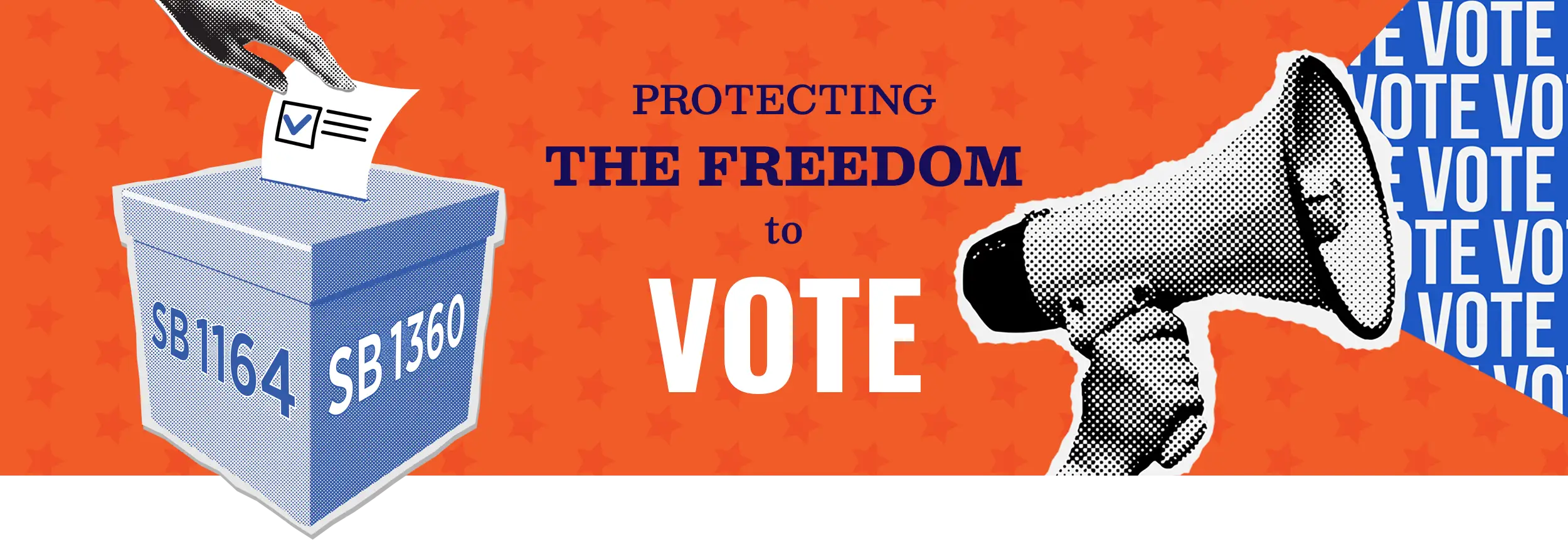 Protecting the Freedom to Vote